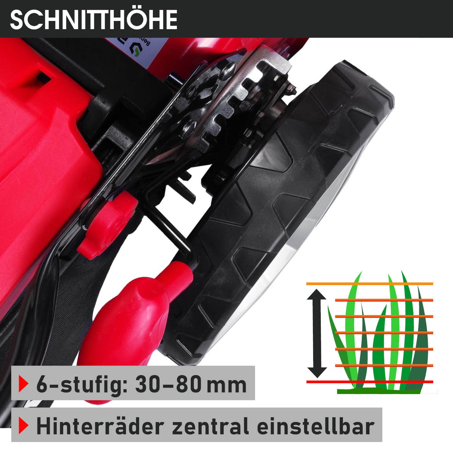 Rotes Gehäuse und großes schwarzes Hinterrad mit einstellbarem Mulchrasenmäherhöhenhebel, 6-stufig von 30 bis 80 mm.