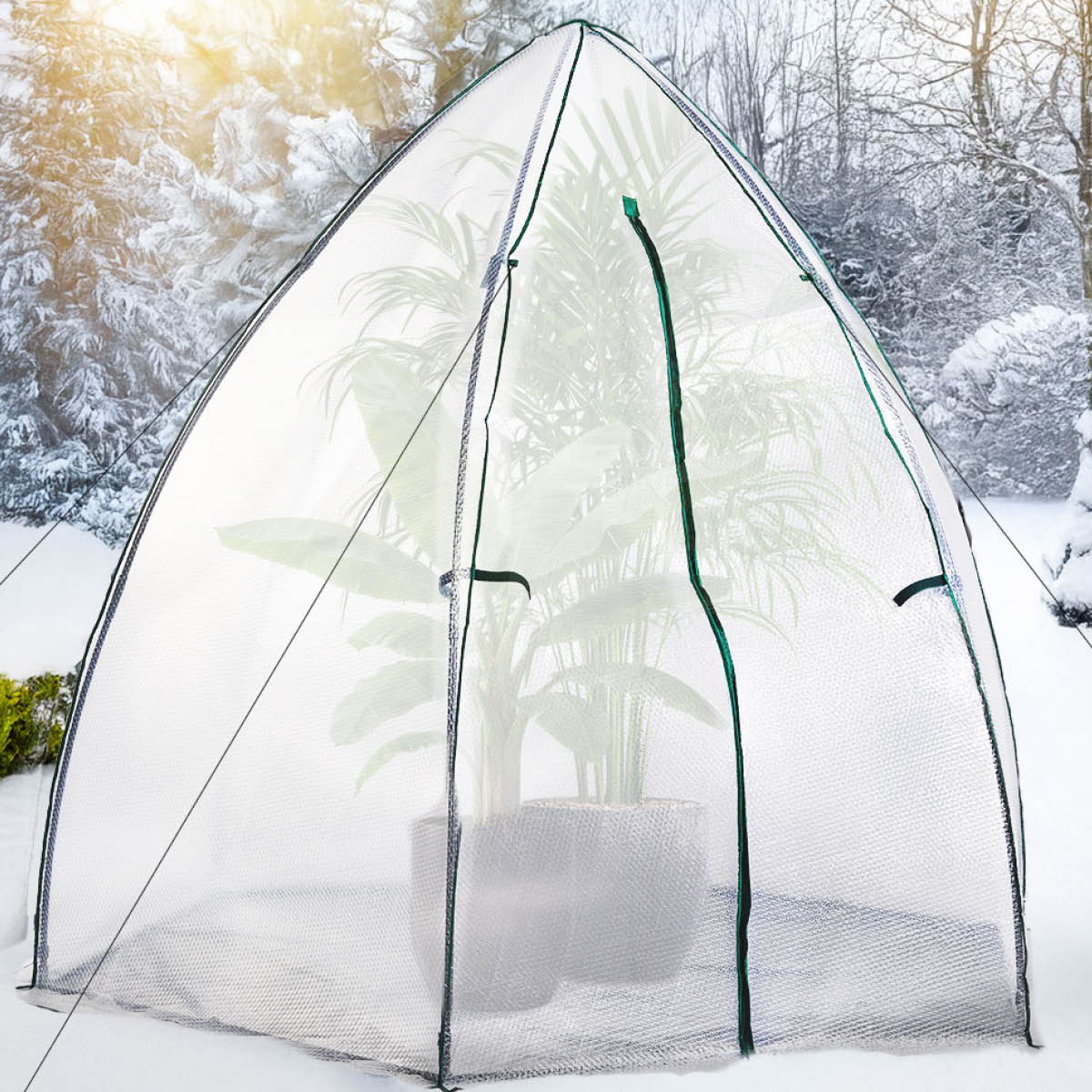 Idealer Frostschutzwächter als Überwinterungszelt für kälteempfindliche Pflanzen