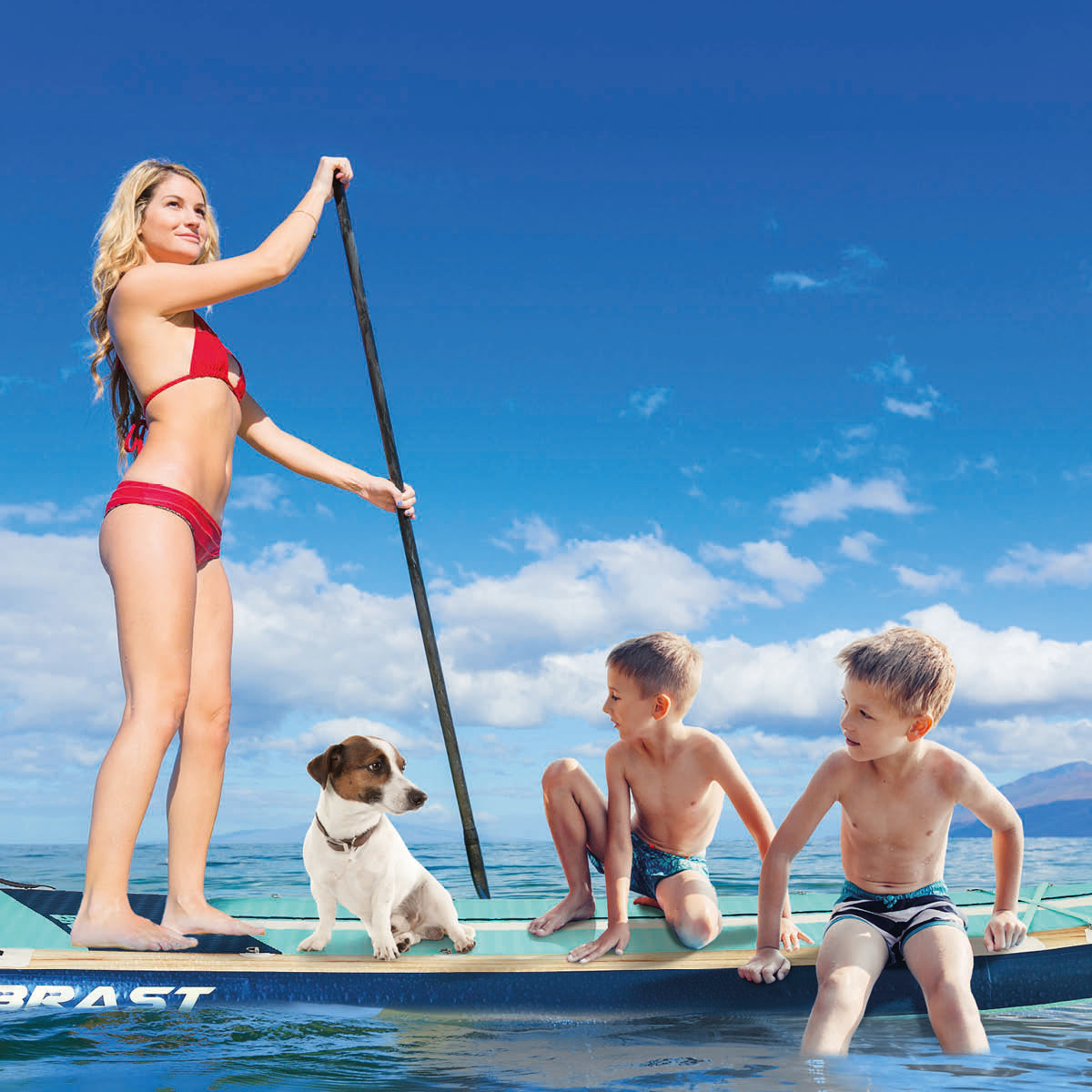 XXL SUP Board aufblasbar FAMILY SHARK natural 370
