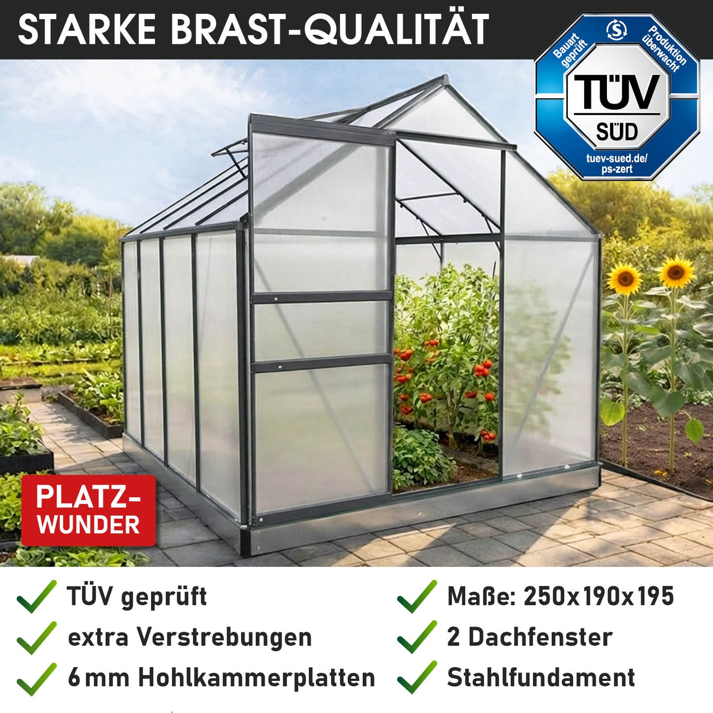 Aluminium Gewächshaus 250x190x195 anthrazit