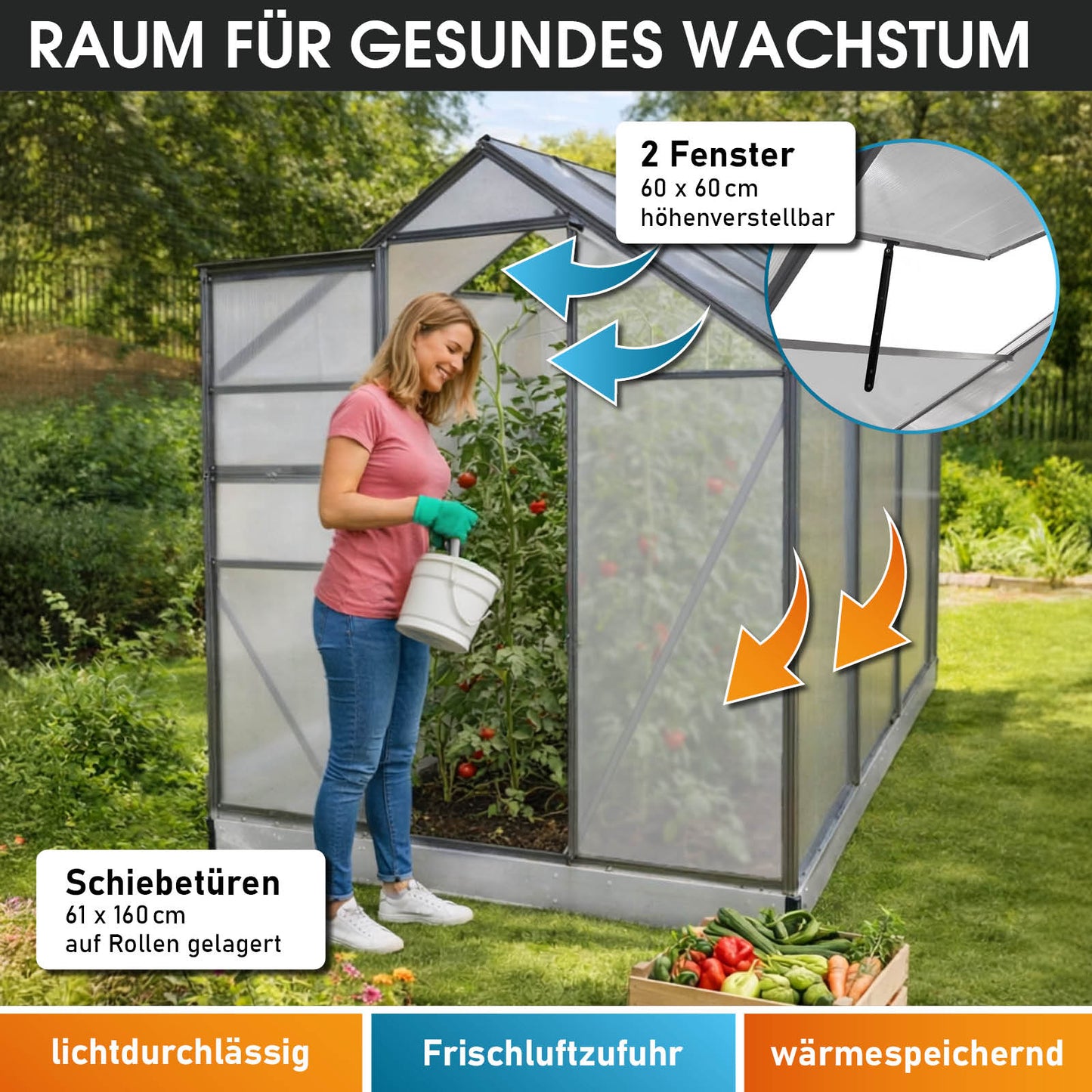 Aluminium Gewächshaus 250x190x195 anthrazit