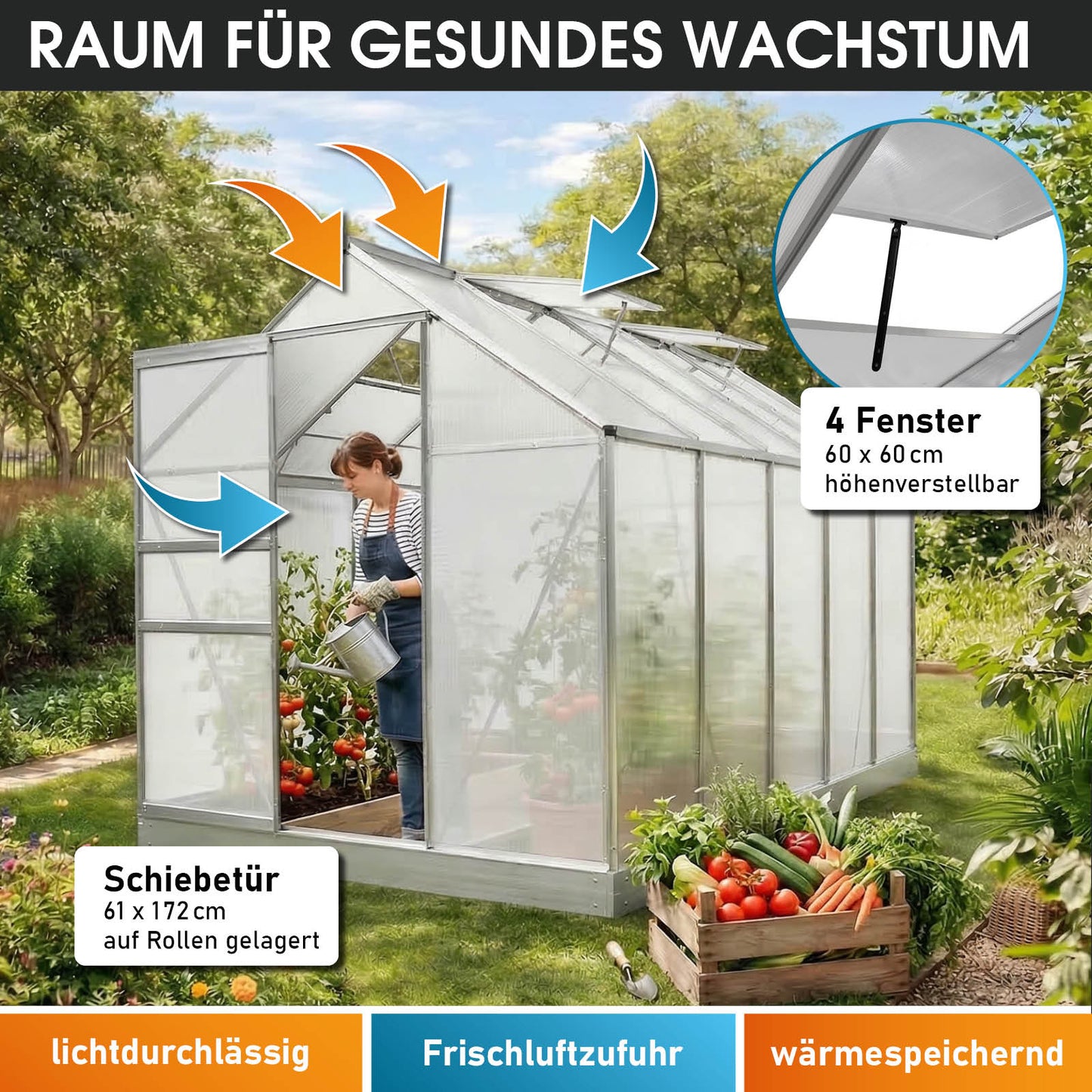 Aluminium Gewächshaus 310x190x195