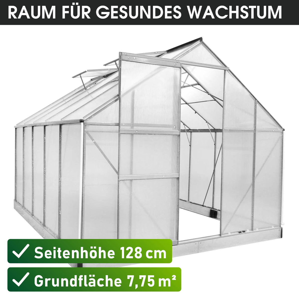 Aluminium Gewächshaus 310x250x205