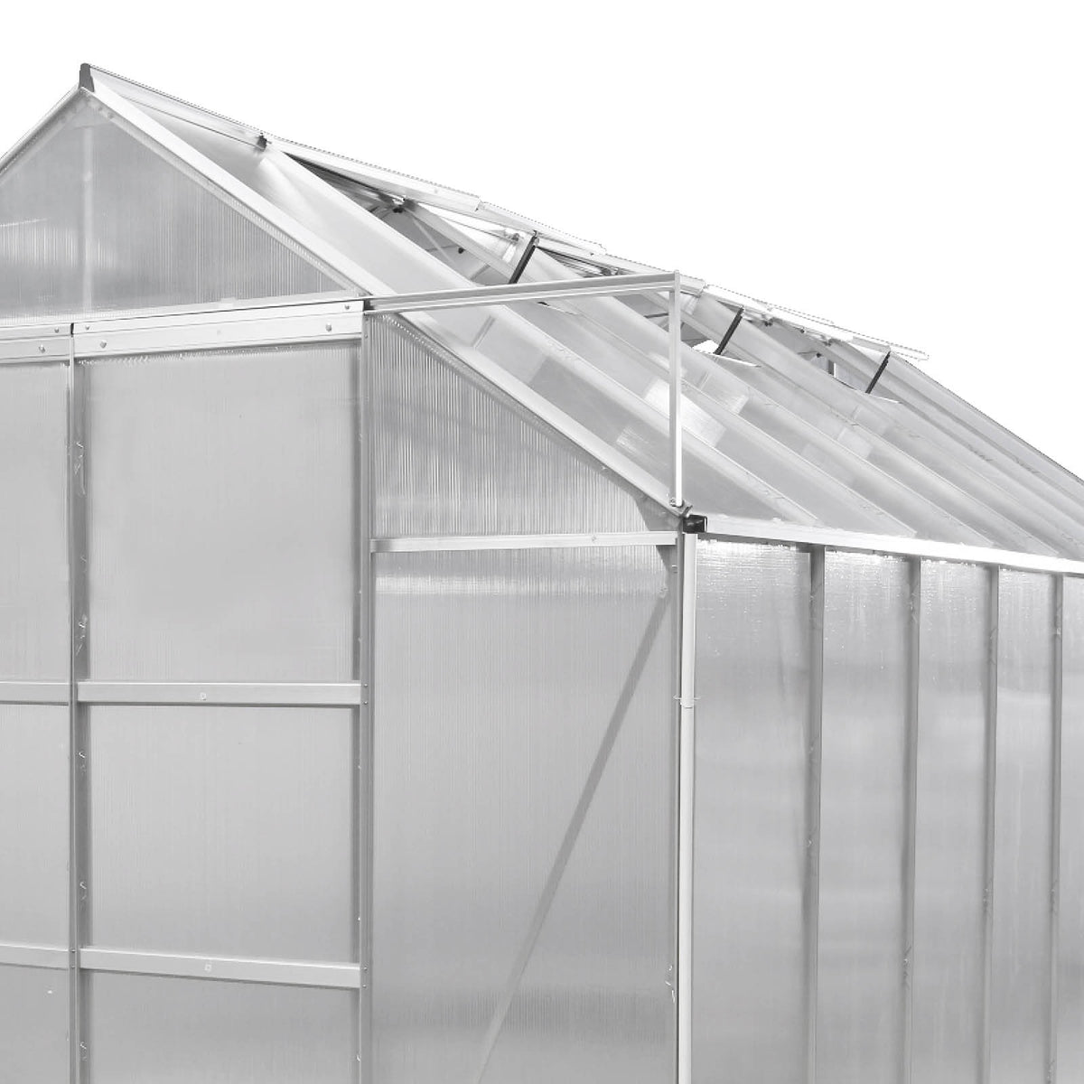 Aluminium-Gewächshaus 490x250x235