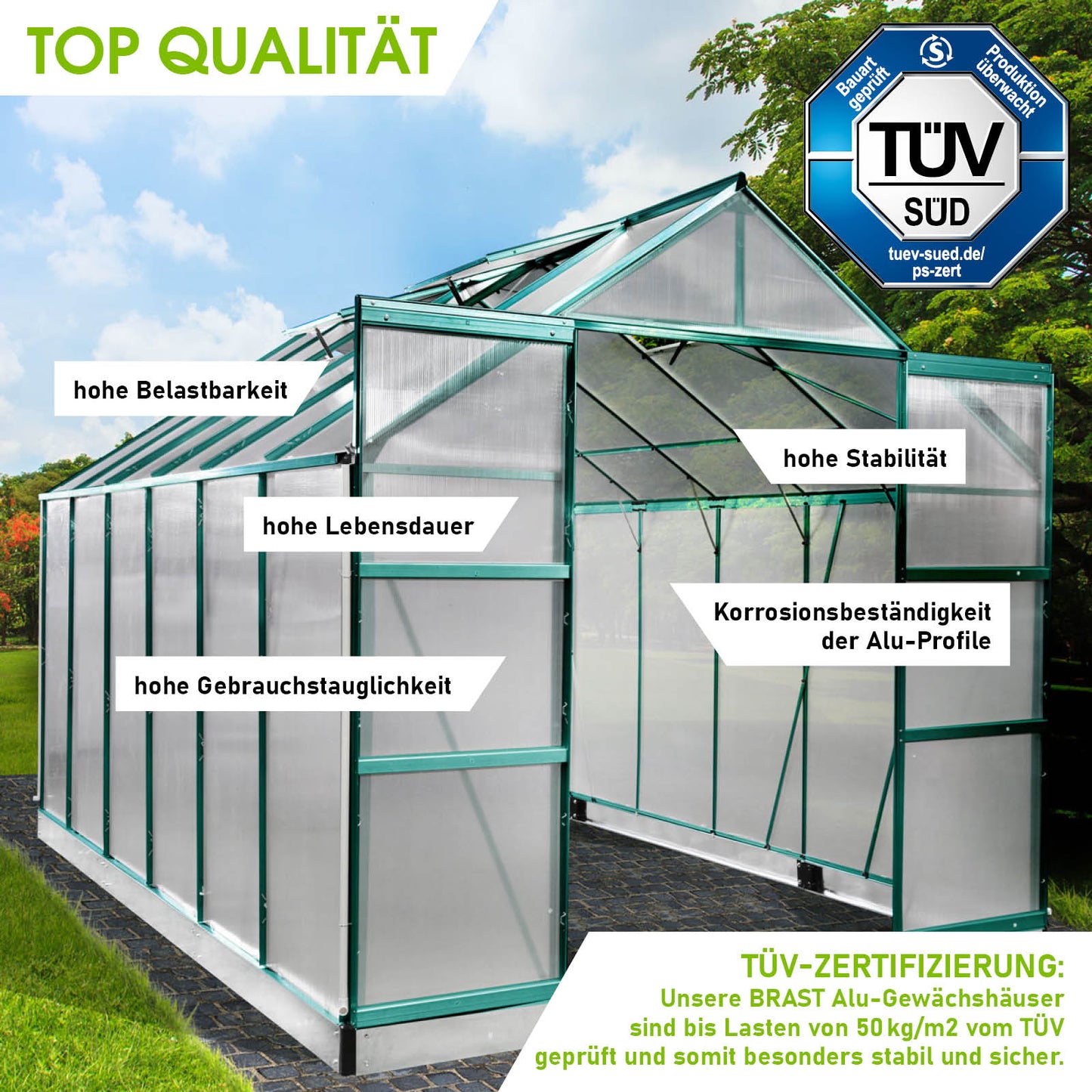 Grünes Aluminium Gewächshaus mit Fundament, begehbar, windsicher, stabile Alu-Profile, Gewächshaus für Garten.