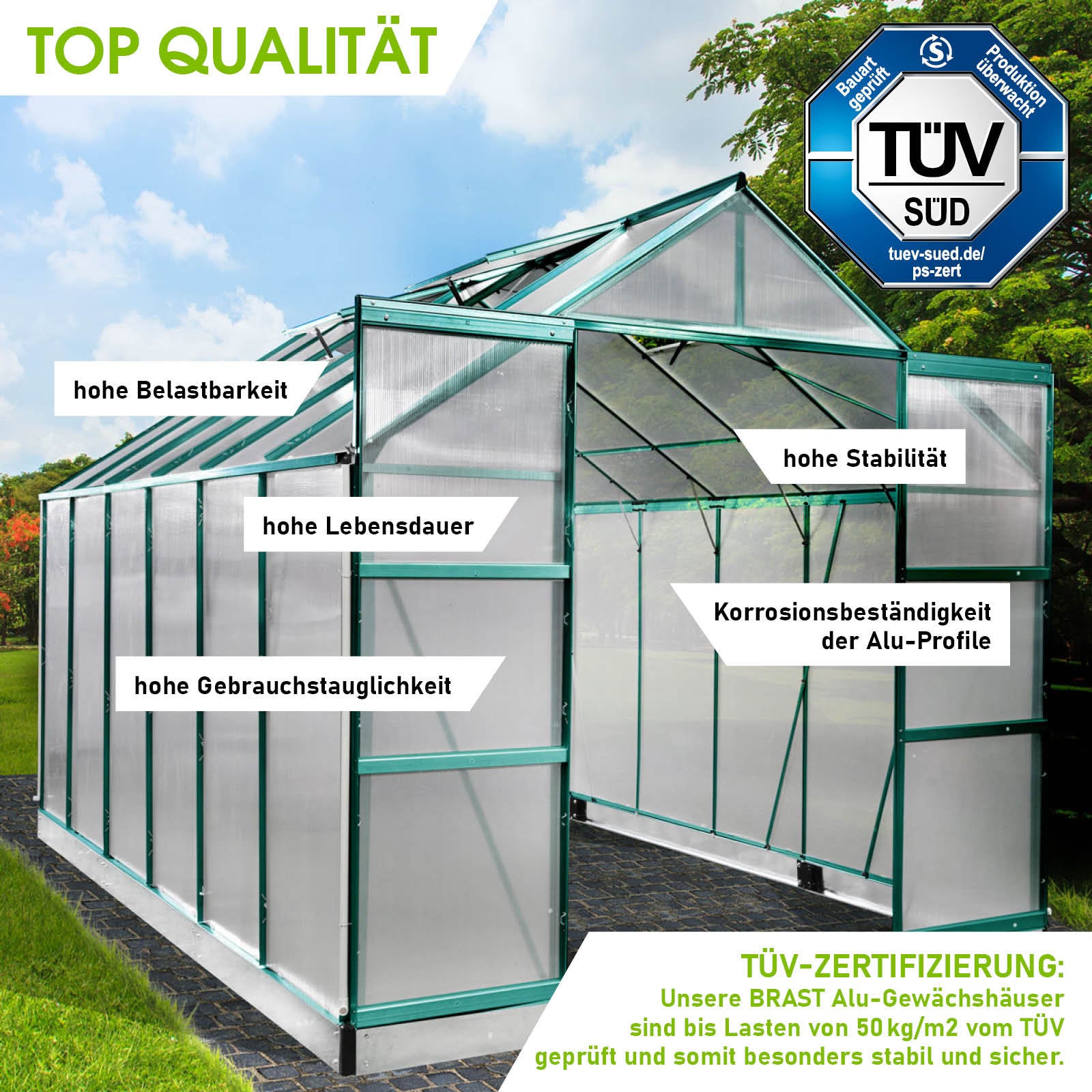 Grünes Aluminium Gewächshaus mit Fundament, begehbar, windsicher, stabile Alu-Profile, Gewächshaus für Garten.