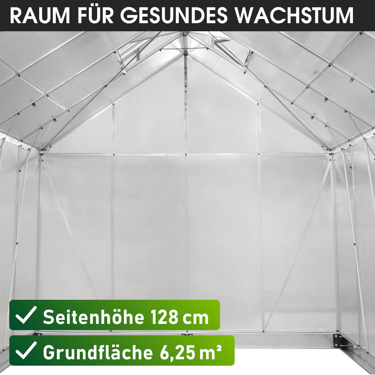 Aluminium-Gewächshaus 250x250x205