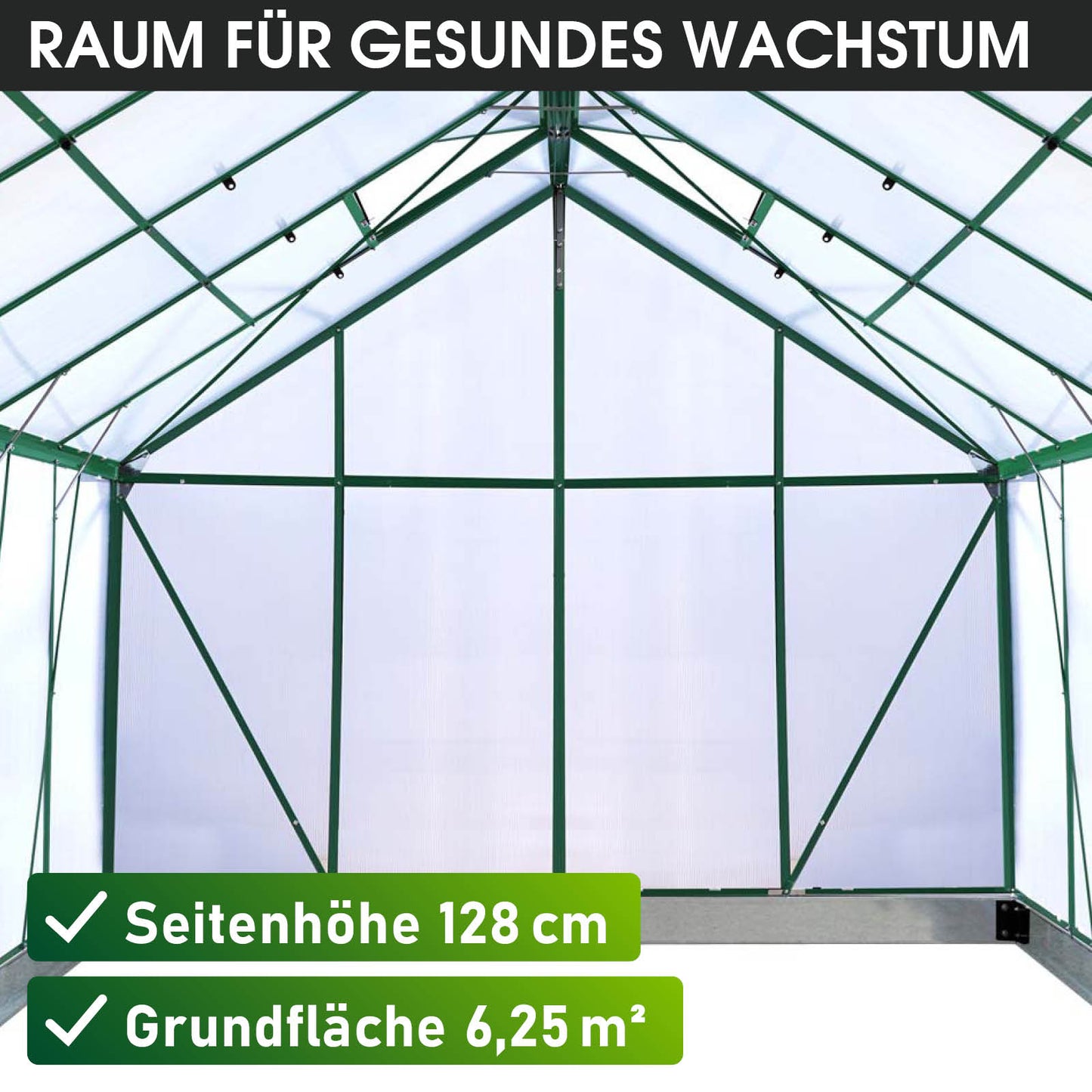 Aluminium-Gewächshaus 250x250x205 grün
