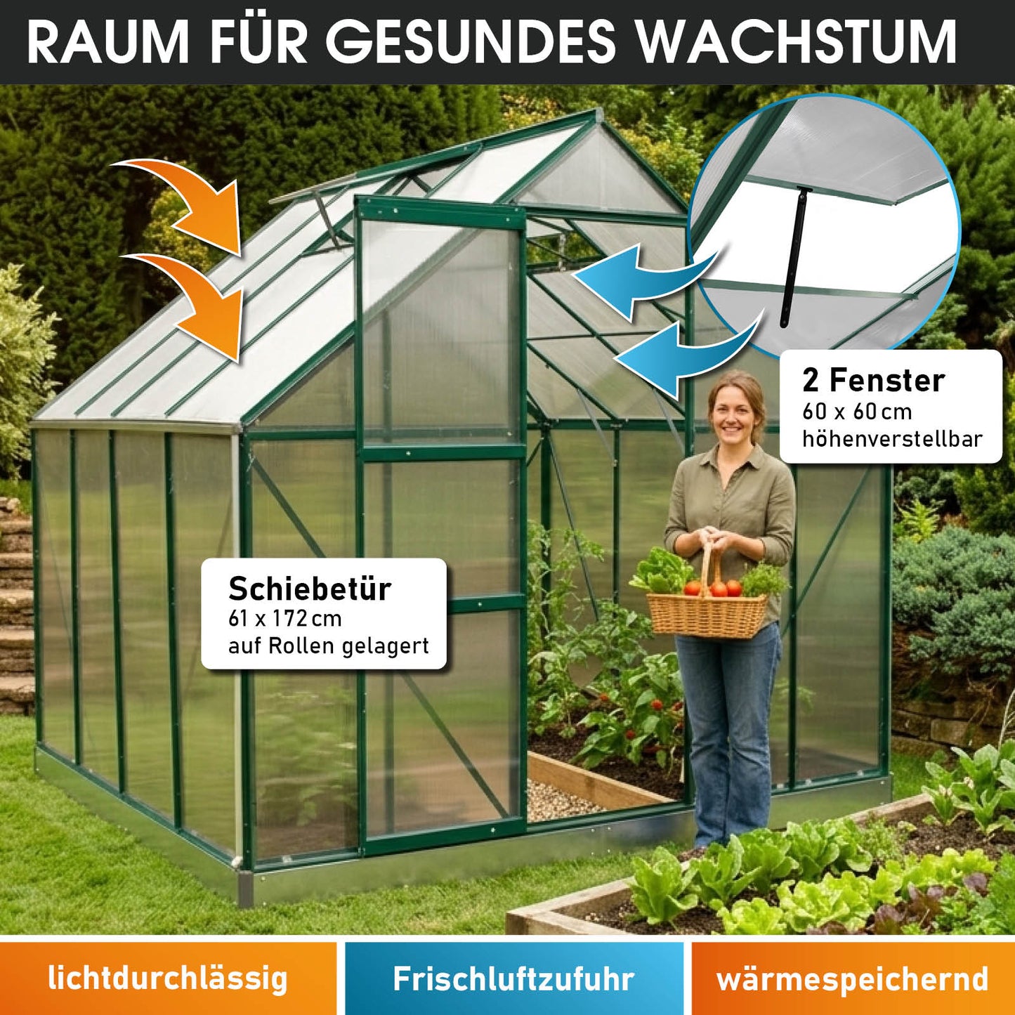 Aluminium-Gewächshaus 250x250x205 grün
