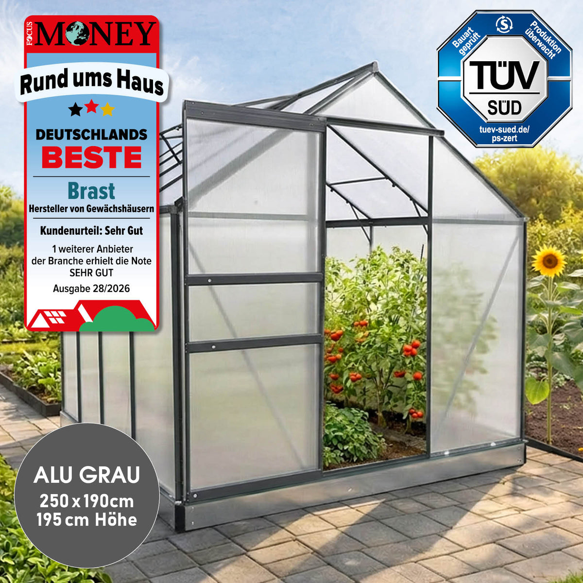 Aluminium Gewächshaus 250x190x195 anthrazit
