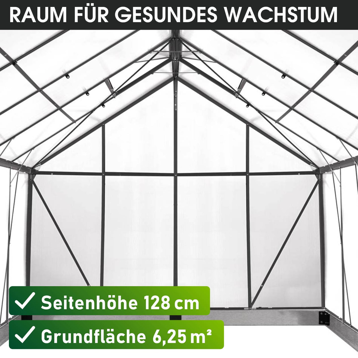 Aluminium-Gewächshaus 250x250x205 anthrazit
