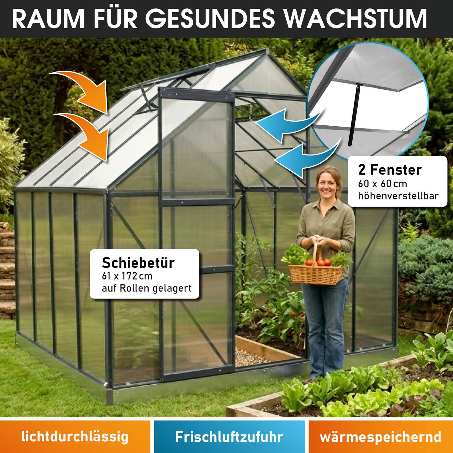 Aluminium-Gewächshaus 250x250x205 anthrazit