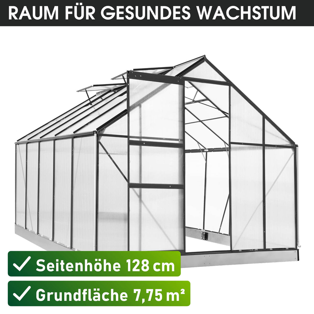 Aluminium-Gewächshaus 310x250x205 anthrazit