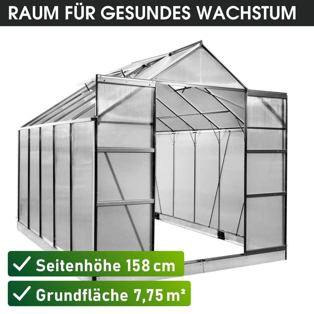 Aluminium-Gewächshaus 310x250x235 anthrazit