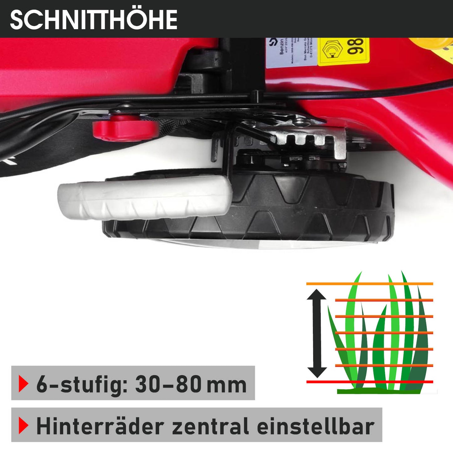 Rotes Benzin-Rasenmäher-Hinterrad mit weißer Höhenverstellung und 6-stufigem Schnitt von 30-80 mm.