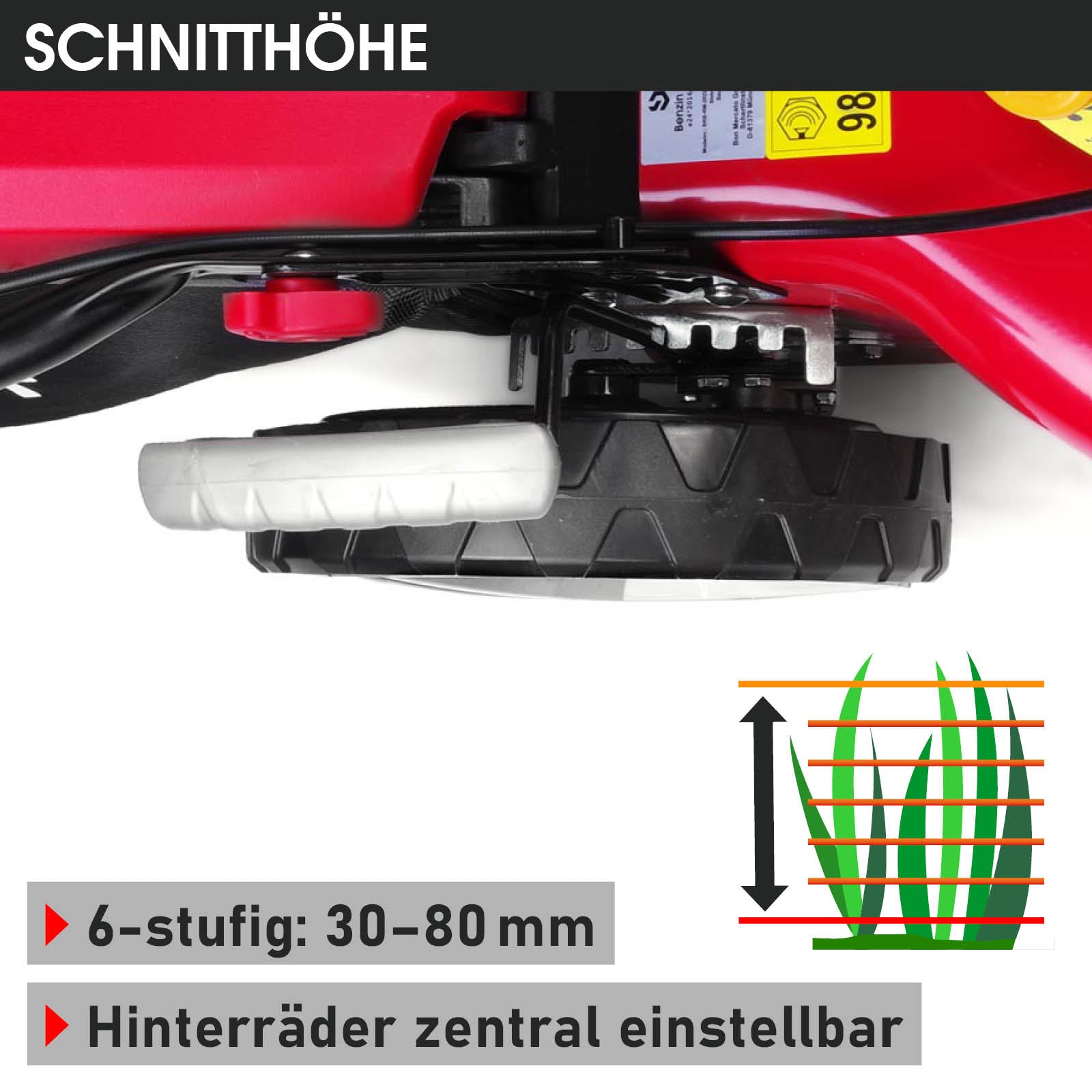 Rotes Benzin-Rasenmäher-Hinterrad mit weißer Höhenverstellung und 6-stufigem Schnitt von 30-80 mm.