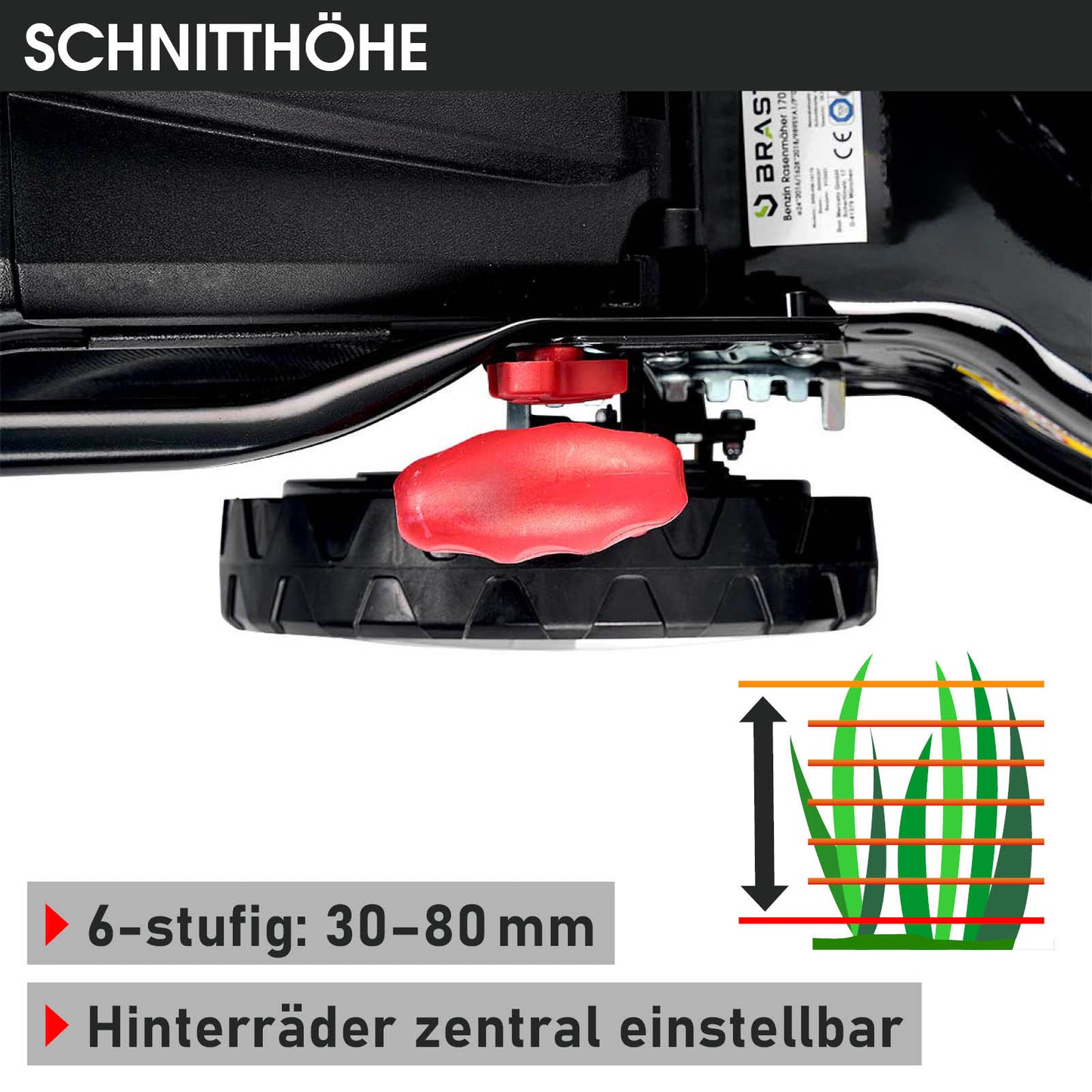 Nahaufnahme des zentral einstellbaren Hinterrads mit rotem Verstellknopf und 6-stufiger Schnitthöhenverstellung von 30 bis.