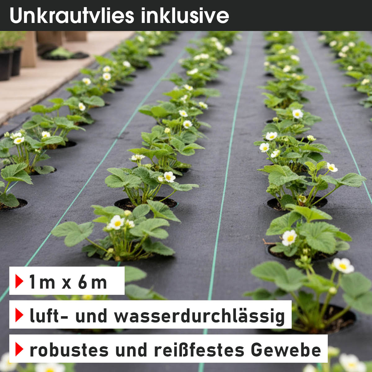 Folien-Gewächshaus 06, 2x3m inkl. Erdanker & Unkrautvlies