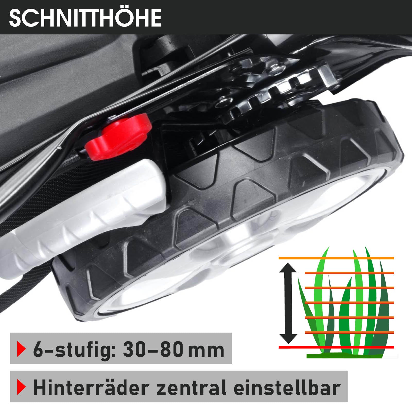 Nahaufnahme des BRAST Benzin Rasenmähers 21224 Trike E-START Hinterrads mit einstellbarer Schnitthöhe und großem Reifenprofil.