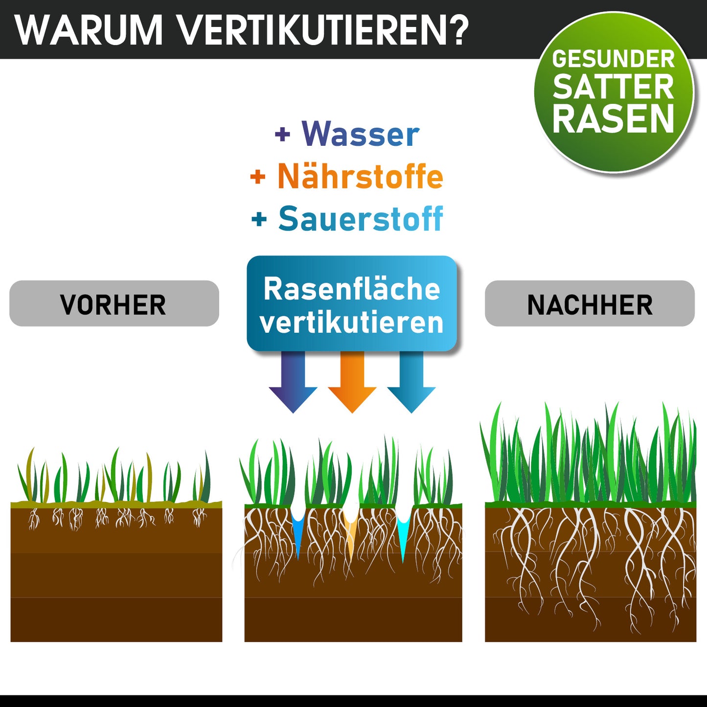 Grafik erklärt Vorteile des Vertikutierens für gesunden Rasen mit Nährstoffen, Sauerstoff und Wasser für Garten Vertikutierer.