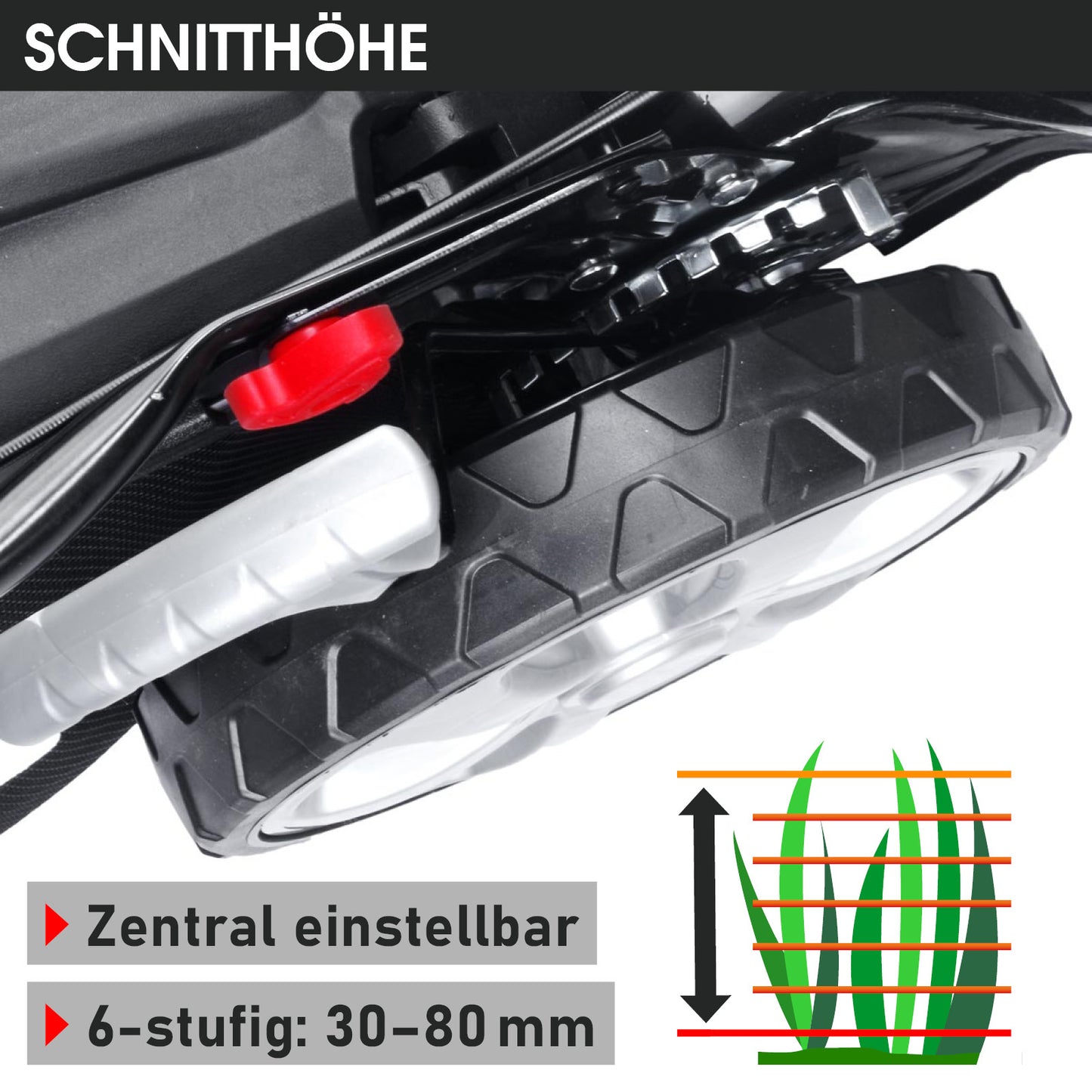 Nahaufnahme eines Rasenmäherrads mit einstellbarem roten Hebel und Skala zur Schnitthöhenverstellung 30-80 mm.
