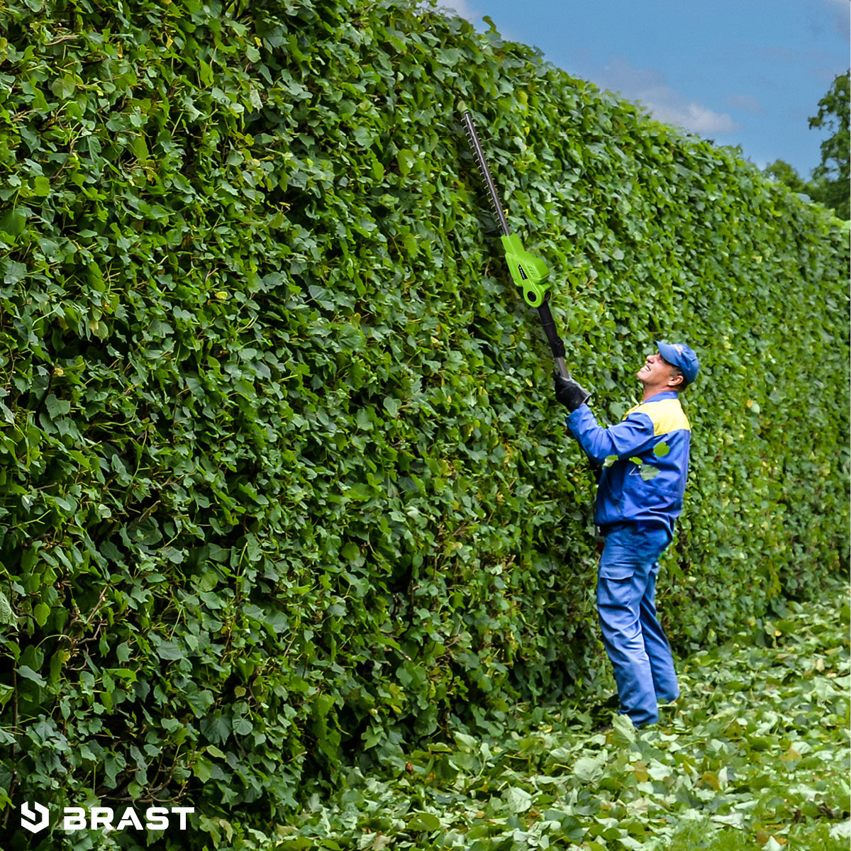 Mann mit blauer Schutzkleidung schneidet hohe grüne Hecke mit grün-schwarzem Teleskop-Heckenschneider.