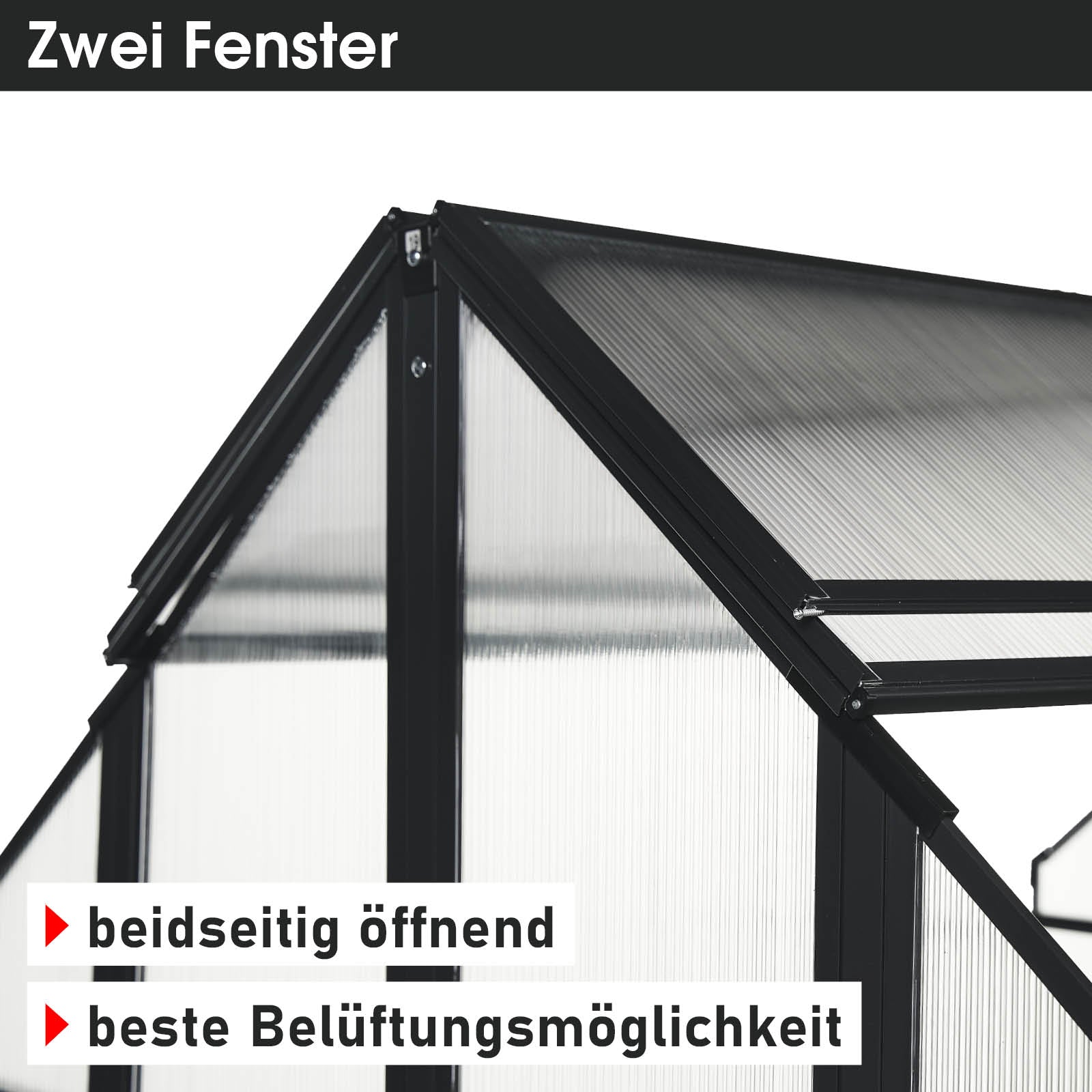 Aluminium Gewächshaus mit beidseitig öffnenden Fenstern, windsicher, begehbar, Gewächshaus mit Fundament.