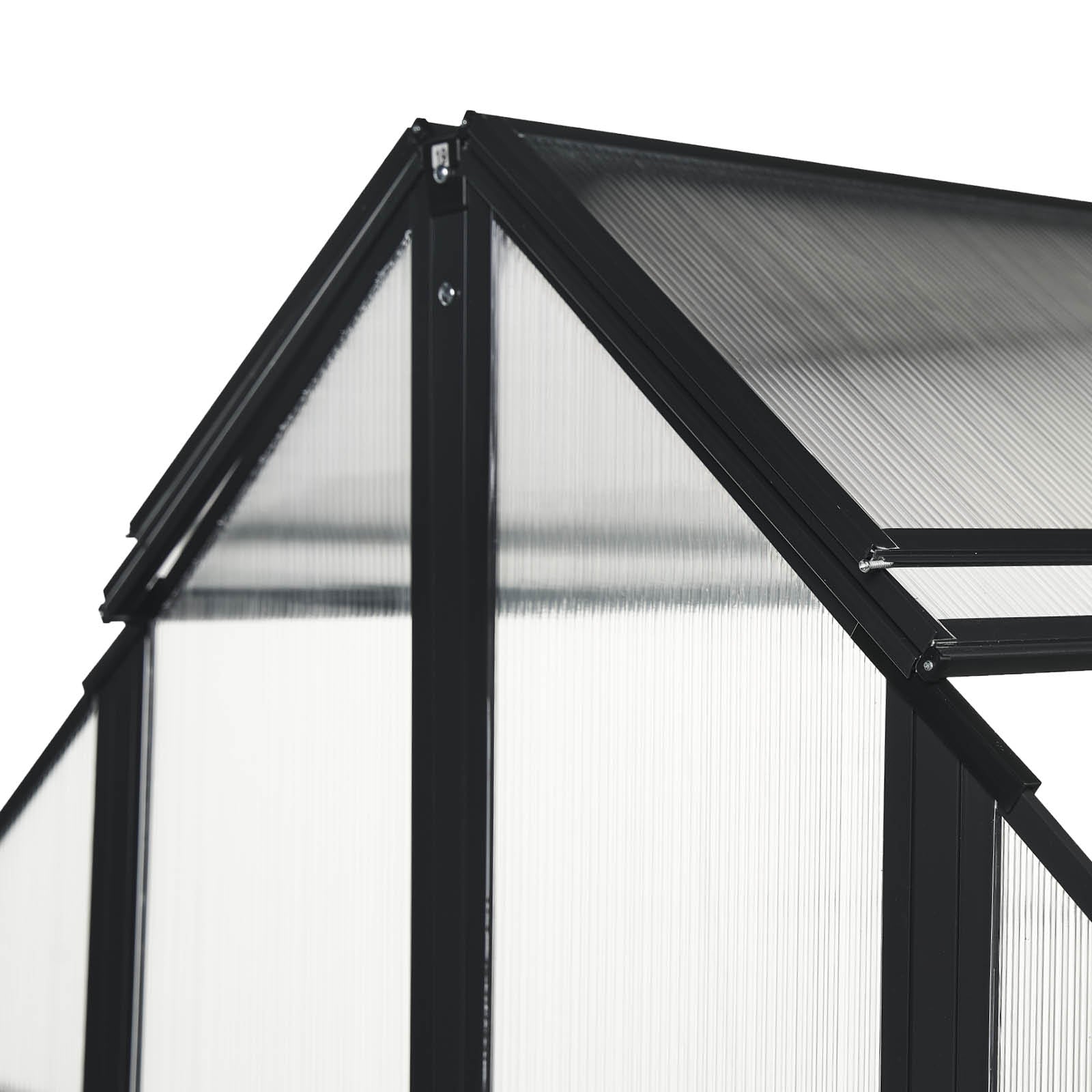 Aluminium Gewächshaus Treibhaus mit schwarzem Rahmen und klarem, begehbarem Dachaufsatz für Garten.