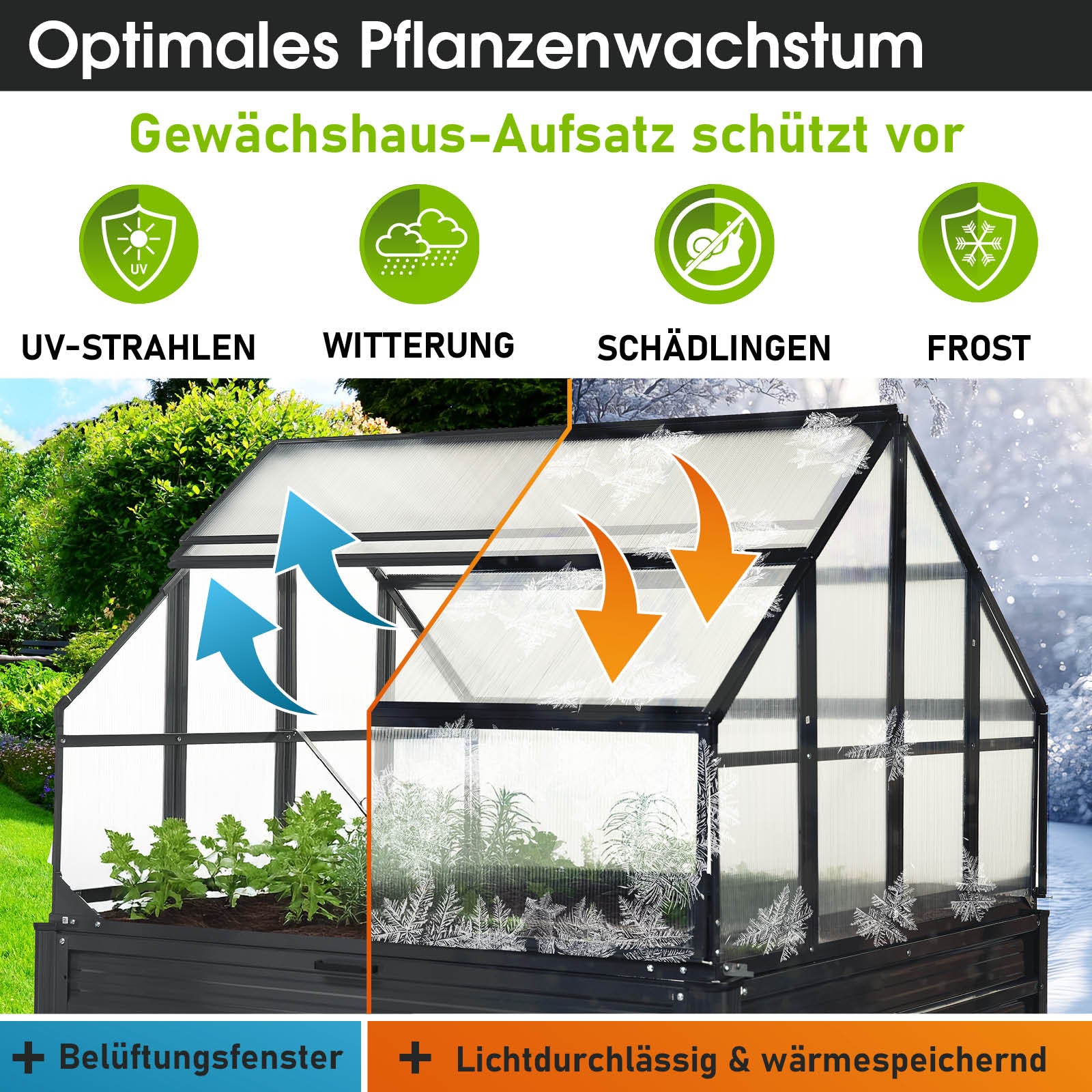 Begehbares Aluminium Gewächshaus mit Fundament und Belüftungsfenster, windsicheres Garten-Treibhaus.