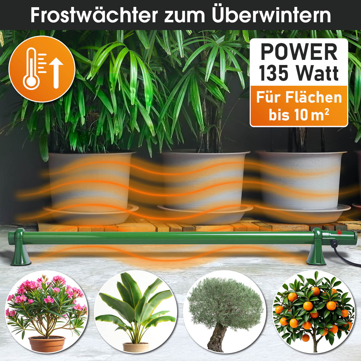 Frostwächter in Form einer Gewächshaus Heizung mit 135 Watt Leistung für Flächen bis 10m²