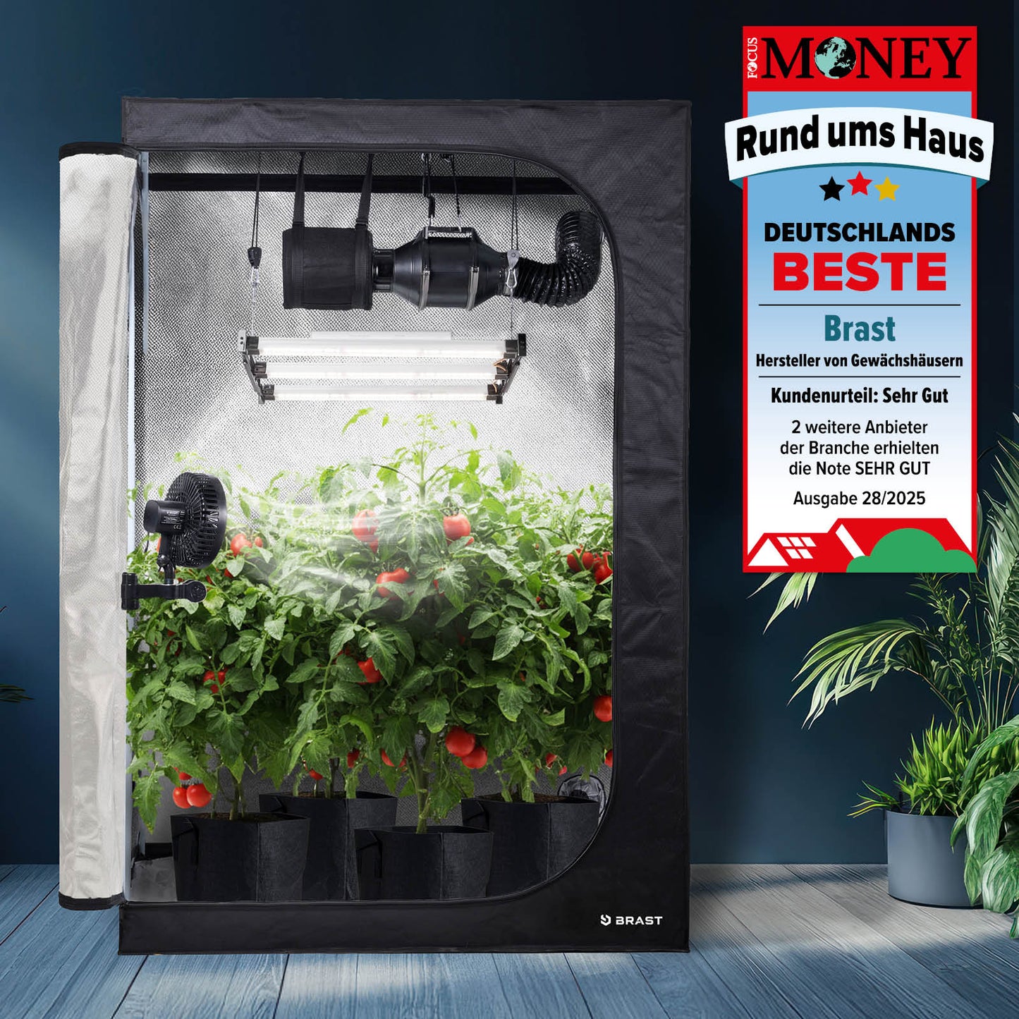 Großer schwarzer GrowCube XXL Indoor-Garten mit LED-Lampe und Tomatenpflanzen in schwarzen Töpfen.