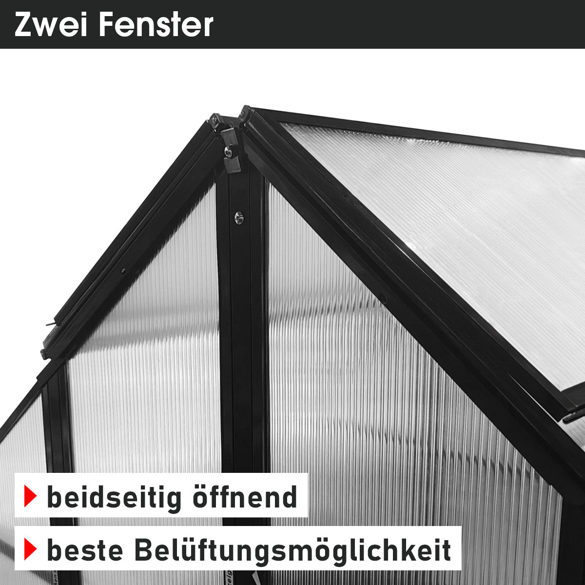 BRAST 2in1 Hochbeet mit Gewächshaus-Aufsatz Classic