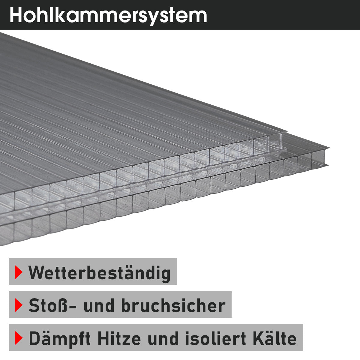 Anthrazitfarbene Doppelstegplatte mit Hohlkammerstruktur, wetterbeständig und isolierend.